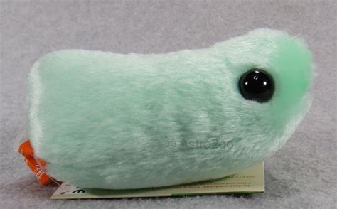 GIANT MICROBES-THE FLU-Stuffed Plush Influenza Grippe Virus Biology ...