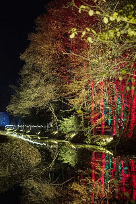 Stunning photographs of Anglesey Abbey’s 2019 Winter Lights display