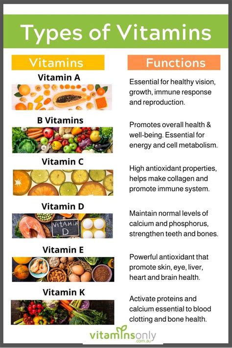 function of vitamin e - Jasmine McLean