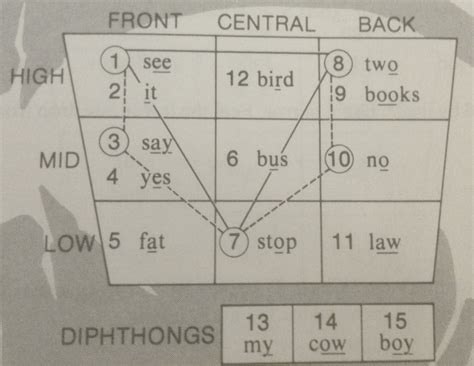 Contoh Kata Diphthong – bonus