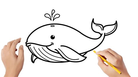 Collection of Dibujar Una Ballena Paso A Paso How To Draw A Whale | C ...