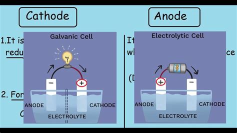 Which Electrode Is The Anode? The 5 Detailed Answer - Ecurrencythailand.com