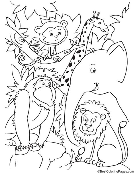 Cartoon Jungle Animals Coloring Pages : Pin by Brad Bryant on Cameo ...