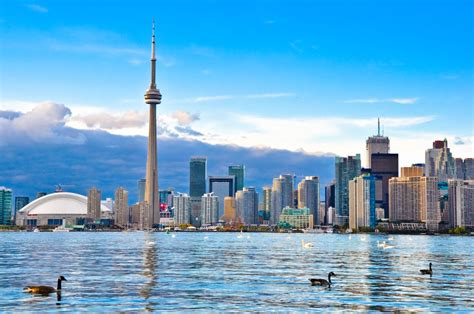 26 Best Things to do in Toronto Right Now