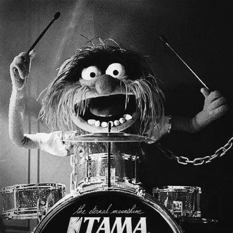 One Bad Apple | Drums, Animal muppet, Drummer