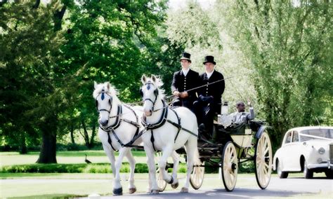 Horse Drawn Carriage for Weddings - Wedding Horse & Carriages