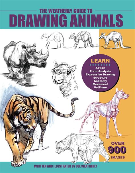 How To Draw Animals Book Pdf - Try not to upset yourself with the huge ...