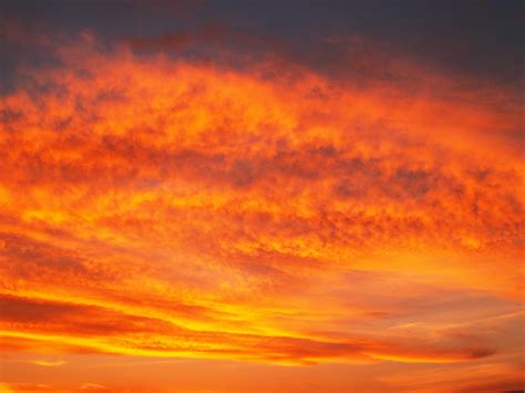 Orange Clouds Wallpaper · Free Stock Photo