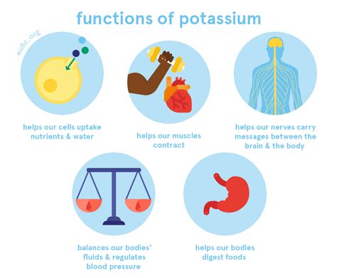 high potassium foods pdf - Flossie Flagg