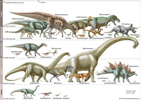 dinosaur - Sauropodomorpha | Britannica