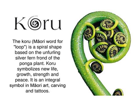 Top 148 + Koru spiral tattoo - Spcminer.com