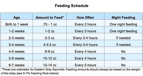 Baby Squirrel Feeding Chart