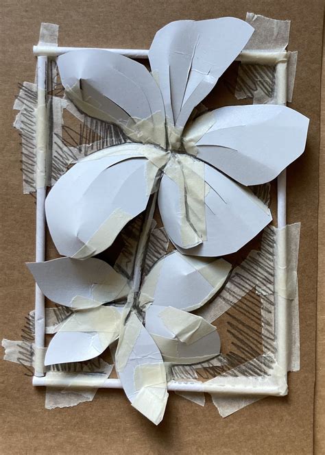 Georgia O’Keeffe Cardboard Flowers — Darrell Wakelam