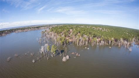 Sam Rayburn Lake Tour - Major League Fishing