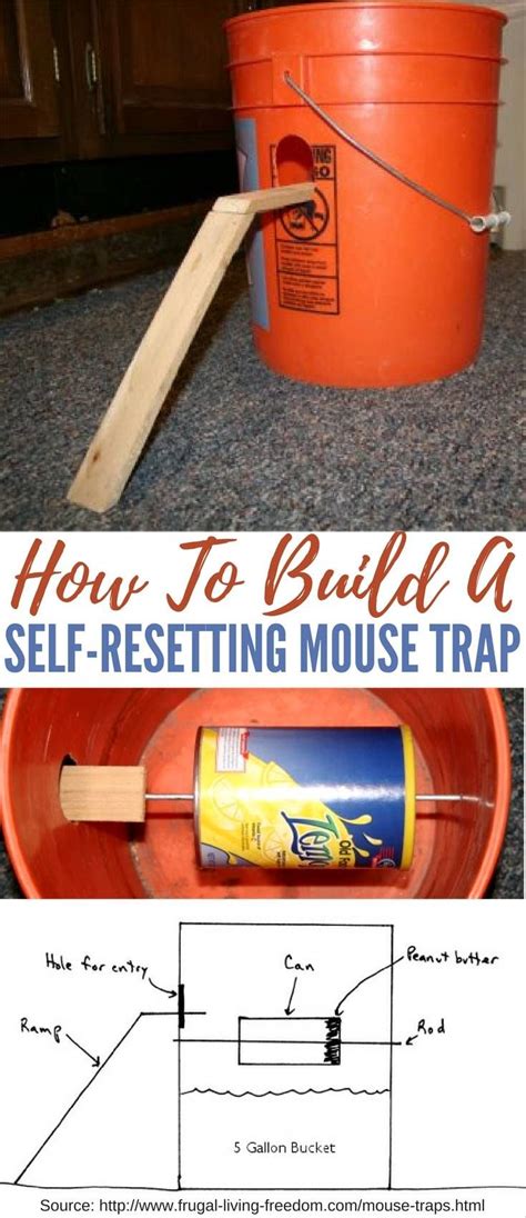 how to build a self - resting mouse trap with instructions for making ...