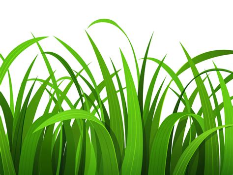 Grass Outline - ClipArt Best