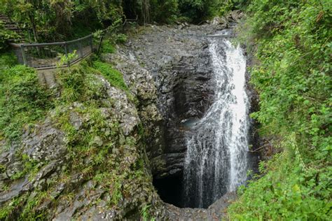 7 Amazing Waterfalls at Springbrook National Park