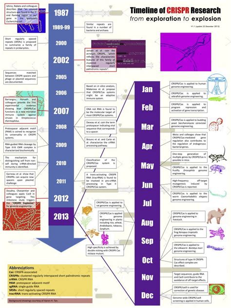 CRISPR-CAS9 Timeline of Discorvery | Biotecnología, Biologia molecular ...