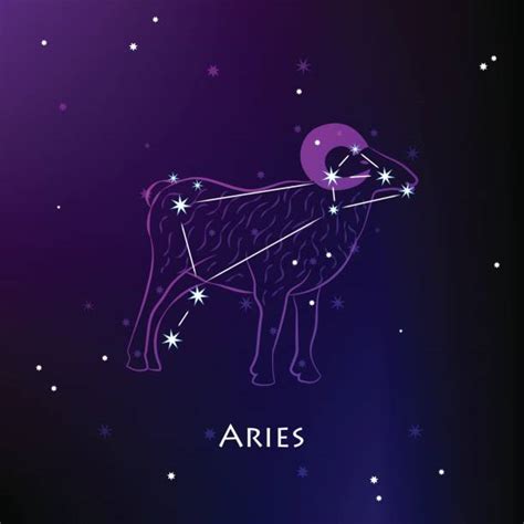 17,100+ Animal Constellations Stock Illustrations, Royalty-Free Vector ...