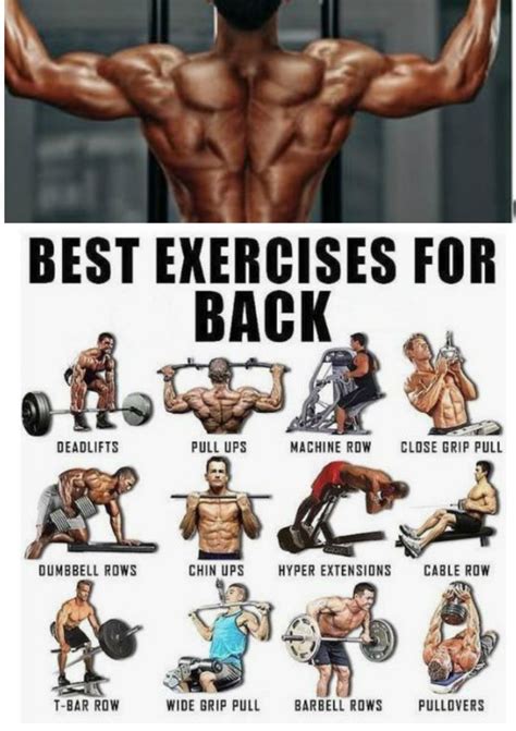 Sinew Nutrition on Twitter | Back workout bodybuilding, Back workout ...