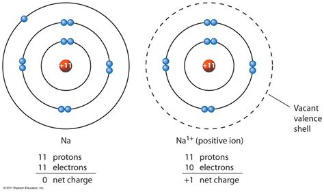 イオン・電解質 | Chemihack：おうちで学べる化学