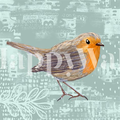 Buy Cute Robin Bird 1 Wallpaper | Happywall.com