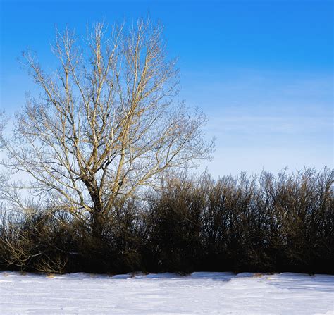 The Rural Landscape on Behance