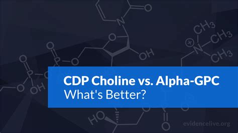 CDP Choline vs. Alpha-GPC: Differences and What's Better - EvidenceLive