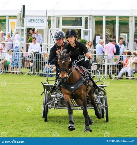 Driving Competition Horse Drawn Carriage Editorial Stock Image - Image ...