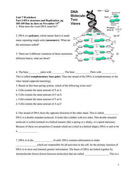 Dna Rna And Protein Synthesis Worksheet Answer Key — db-excel.com