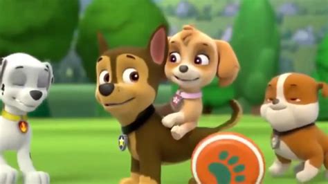 Skye x Chase - Skye and Chase - PAW Patrol Photo (39995214) - Fanpop