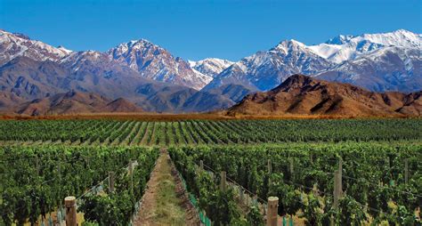 Vino argentino: la Conferencia Mundial de Enoturismo tendrá sede en ...