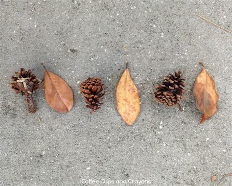 Creating patterns with natural objects - Northwest Montessori Preschool