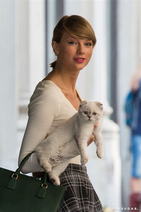 Taylor Swift Carrying Her Cat in NYC | POPSUGAR Celebrity