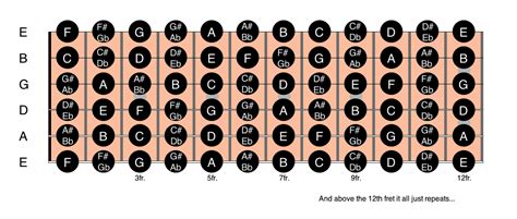 Learning The Notes On The Fretboard - Anyone Can Play Guitar