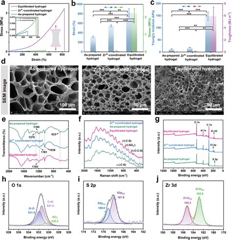 Mechanical and structural characterizations of the hydrogels. a ...