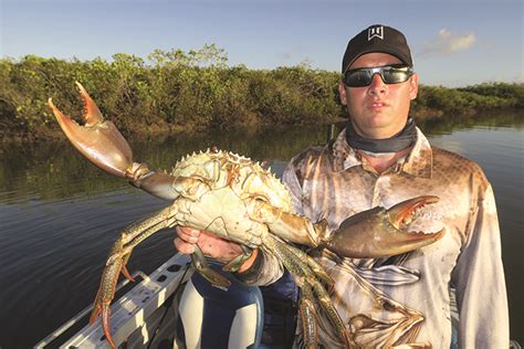 March mud crab madness - Bush 'n Beach Fishing Magazine