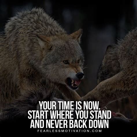 20 Strong Wolf Quotes To Pump You Up | Lone wolf quotes, Wolf pack ...