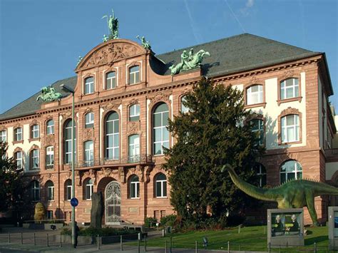 Senckenberg Museum of Natural History | Frankfurt Tourism