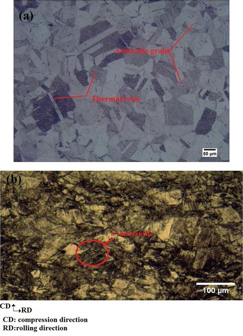 a The as-annealed microstructure and (b) microstructure after five-pass ...