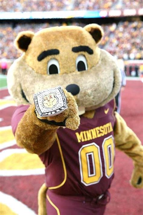 University of Minnesota, Twin Cities Golden gophers - costume mascot ...