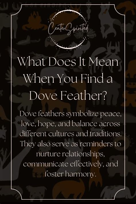 Dove Feather Meaning and Symbolism - A Fascinating Insight