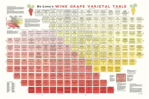 True Fabrications DeLong's Wine Grape Varietal Table Poster - The ...