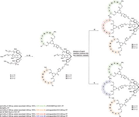 New class of synthetic antibody mimics for improved therapeutics ...