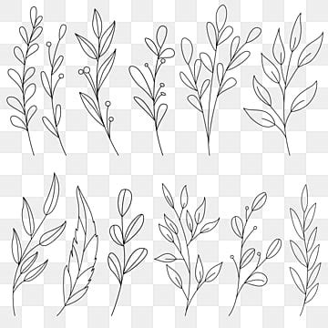 Leaf Outline PNG, Vector, PSD, and Clipart With Transparent Background ...