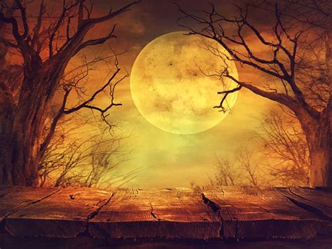 Halloween backdrop moon - Mybackdrop.co.uk