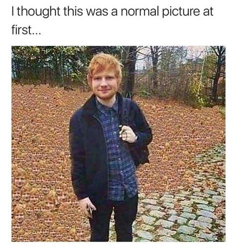 17 Ridiculous Ed Sheeran Memes To Get You Laughing Out Loud | Ed ...