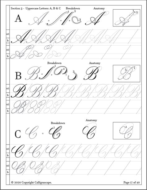 Master Class Copperplate Practice Sheets: From Basic Strokes to ...