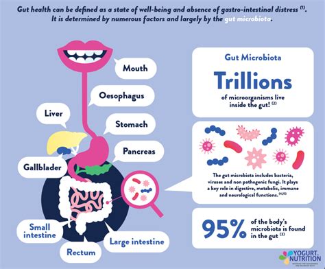 Gut microbiota : our advanced guide