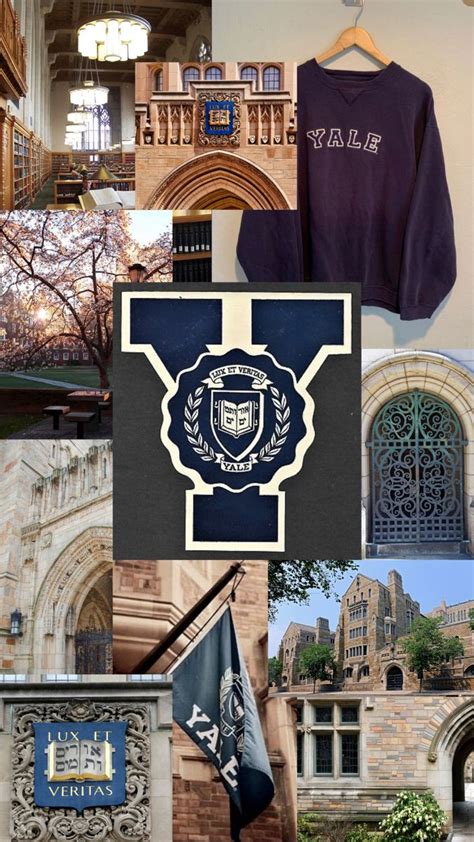 yale aesthetic | University inspiration, Dream collage, Yale